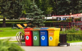 В Калининграде объявлены торги на закупку контейнерных шкафов для сбора мусора