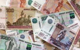 В Калининграде выделили деньги на очистку Летнего и Зимнего озёр