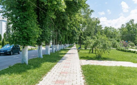 В Калининграде за 9 млн рублей отремонтируют тротуар на Чкалова
