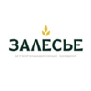 Залесье