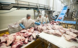 «Мираторг» увеличил поставки фирменной говядины для обеспечения роста производства полуфабрикатов и готовых блюд в первом полугодии 2018 года на 50% - до 1500 тонн