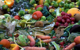 В Калининградской области минимальный набор продуктов подорожал на 22%