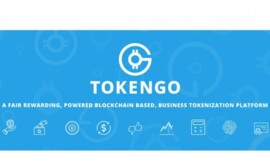 Блокчейн-платформа TokenGO поможет токенизировать бизнес