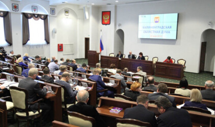 Калининградские депутаты согласовали исполнение бюджета-2019