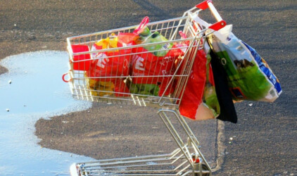 В Калининградской области на пособия на продукты питания направят 300 млн рублей