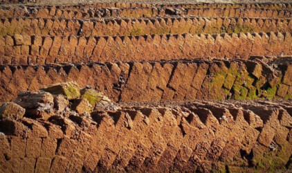 Калининградская область наращивает экспорт торфа в Китай и Корею