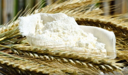 В Калининградской области импорт муки вырос на 10%
