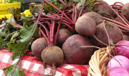 В Калининградской области назвали самые подорожавшие в январе продукты