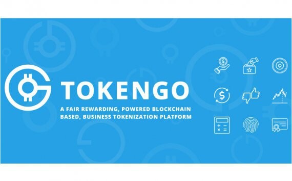 Особенности блокчейн проектов на примере TokenGO