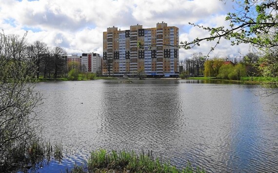 В августе начнётся благоустройство берега Летнего озера в Калининграде