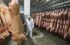 Цены на свинину в Калининградской области выросли почти на 10%