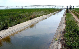 «Калининградмелиорация» обеспечила приведение в порядок 60 километров каналов