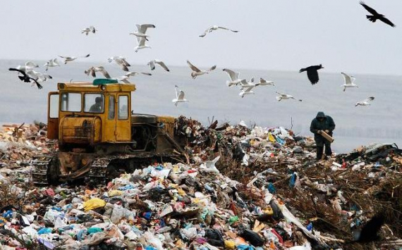 «ЕКАТ-Калининград»: отчёты в кадастр коммунальных отходов нужно подать до апреля
