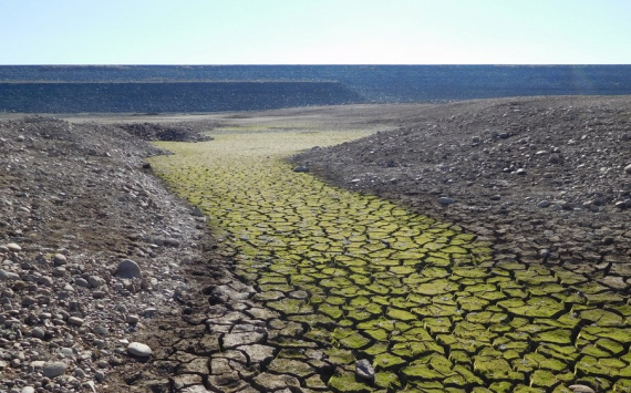 В Калининградской области ущерб от засухи оценили в 322 млн рублей