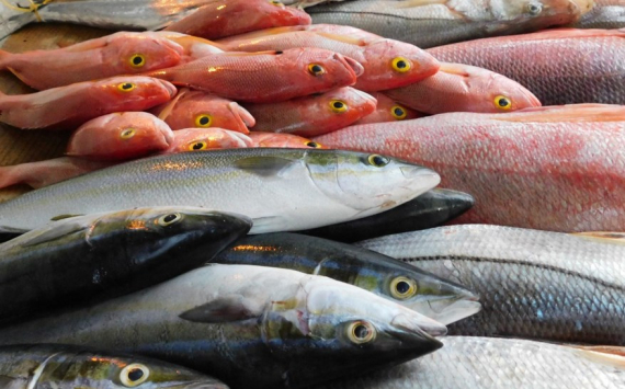 В Калининградской области ввели квоты на беспошлинный экспорт рыбных консервов