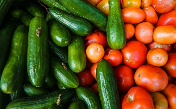 В Калининградской области свежие овощи стали мастодонтами цен
